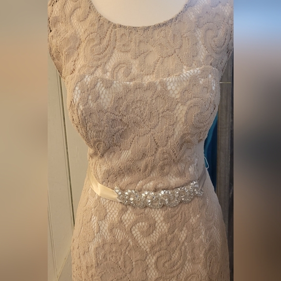 Elegant Lace Evening Gown - Picture 4 of 8